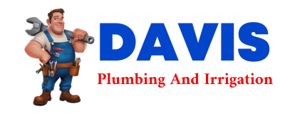 Trusted plumber in BREMOND